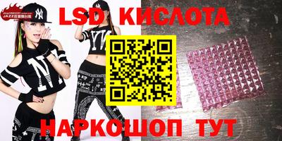стаф Можга