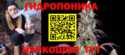 стаф Можга