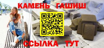 стаф Можга