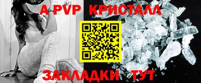 стаф Можга