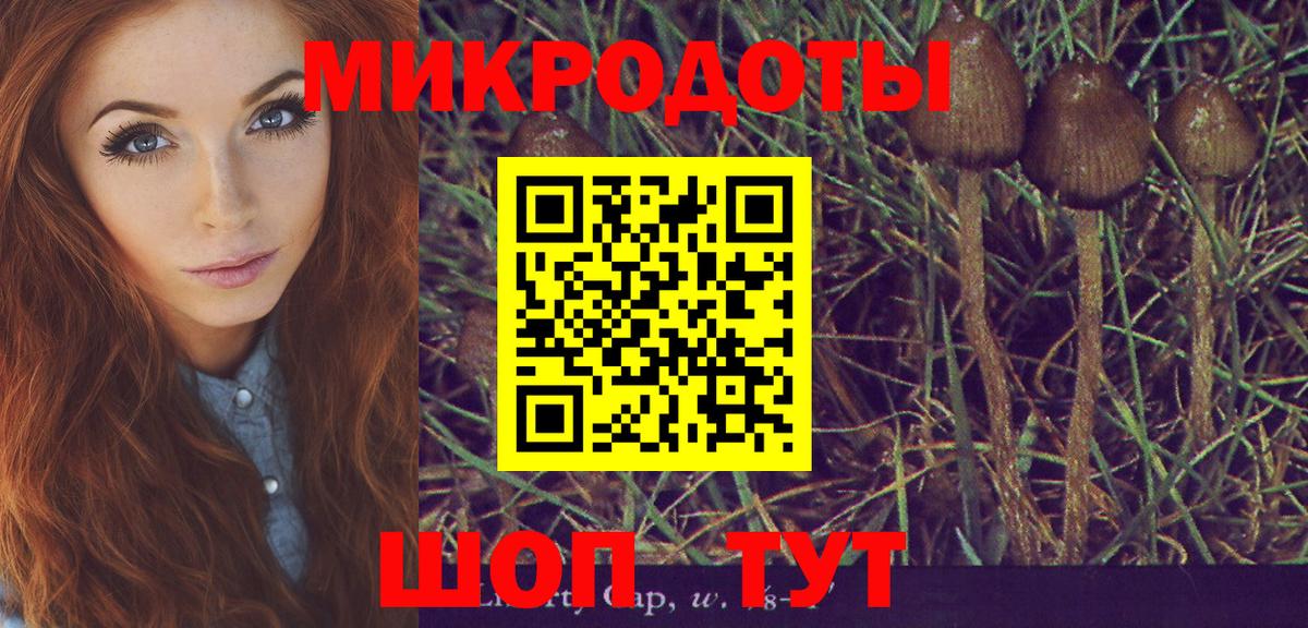 Бузулук  Псилоцибиновые грибы ЛСД  Вход с VPN 