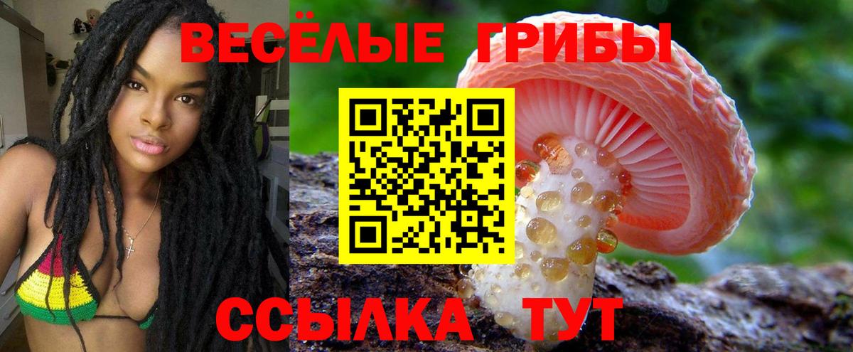 Псилоцибиновые грибы Magic Shrooms Бузулук